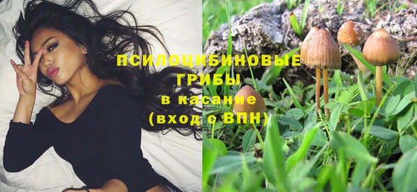 крисы Магадан