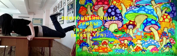 дурь Медвежьегорск
