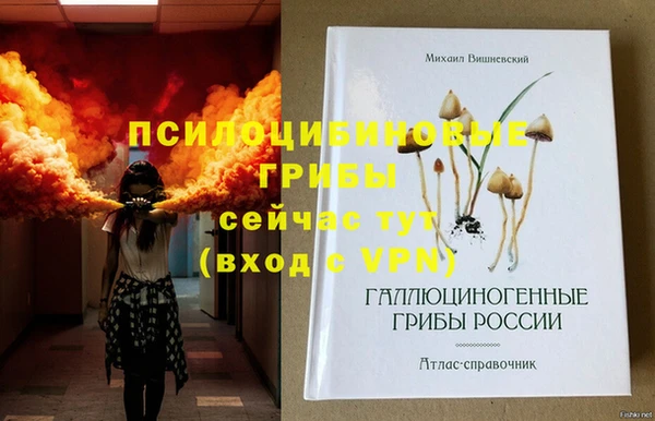 гашиш Магас
